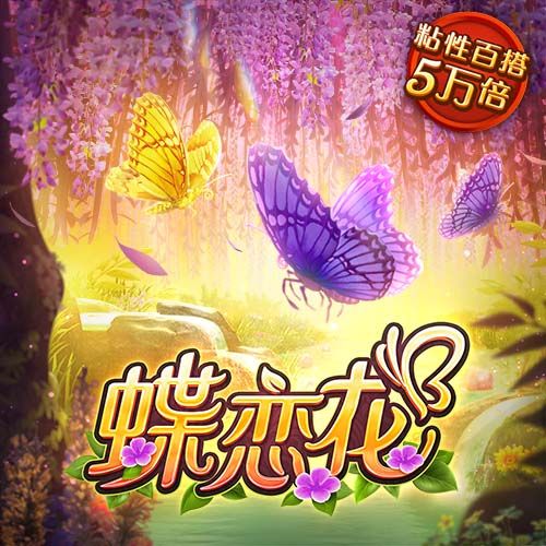 星空下载安装app官网安卓版
